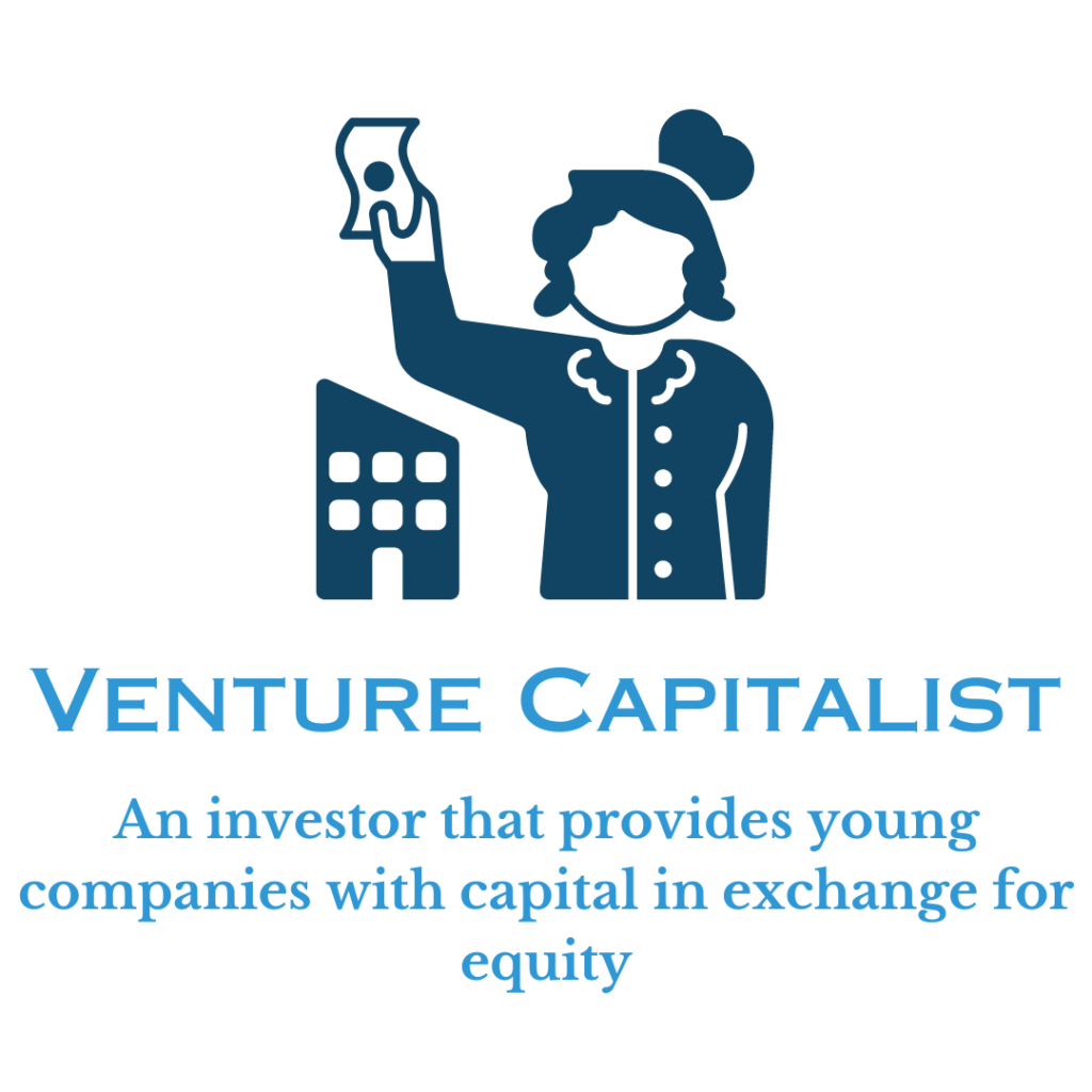 Venture Capitalist