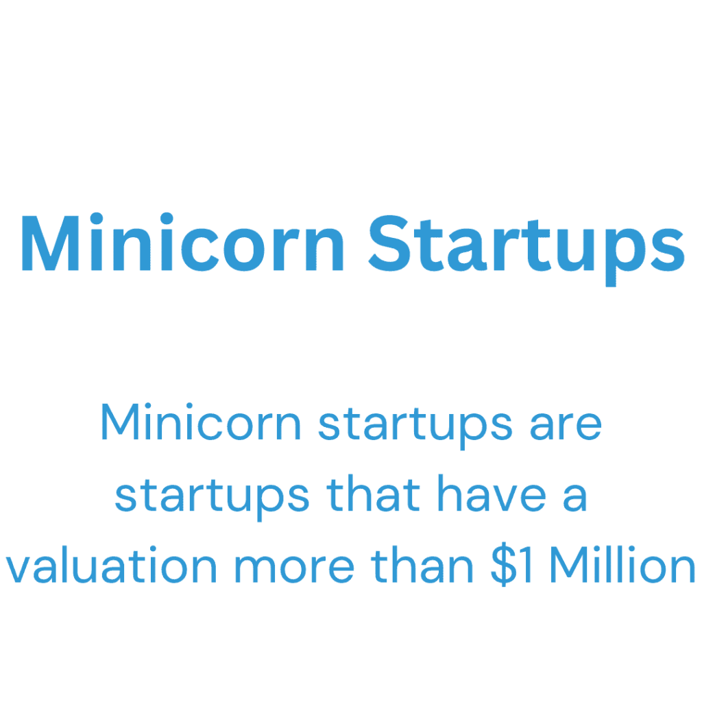 Minicorn Valuation